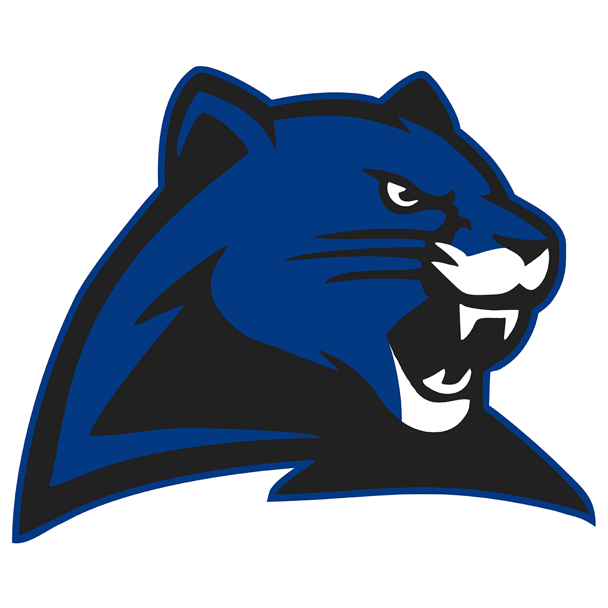 Marion C. Early Panthers mascot