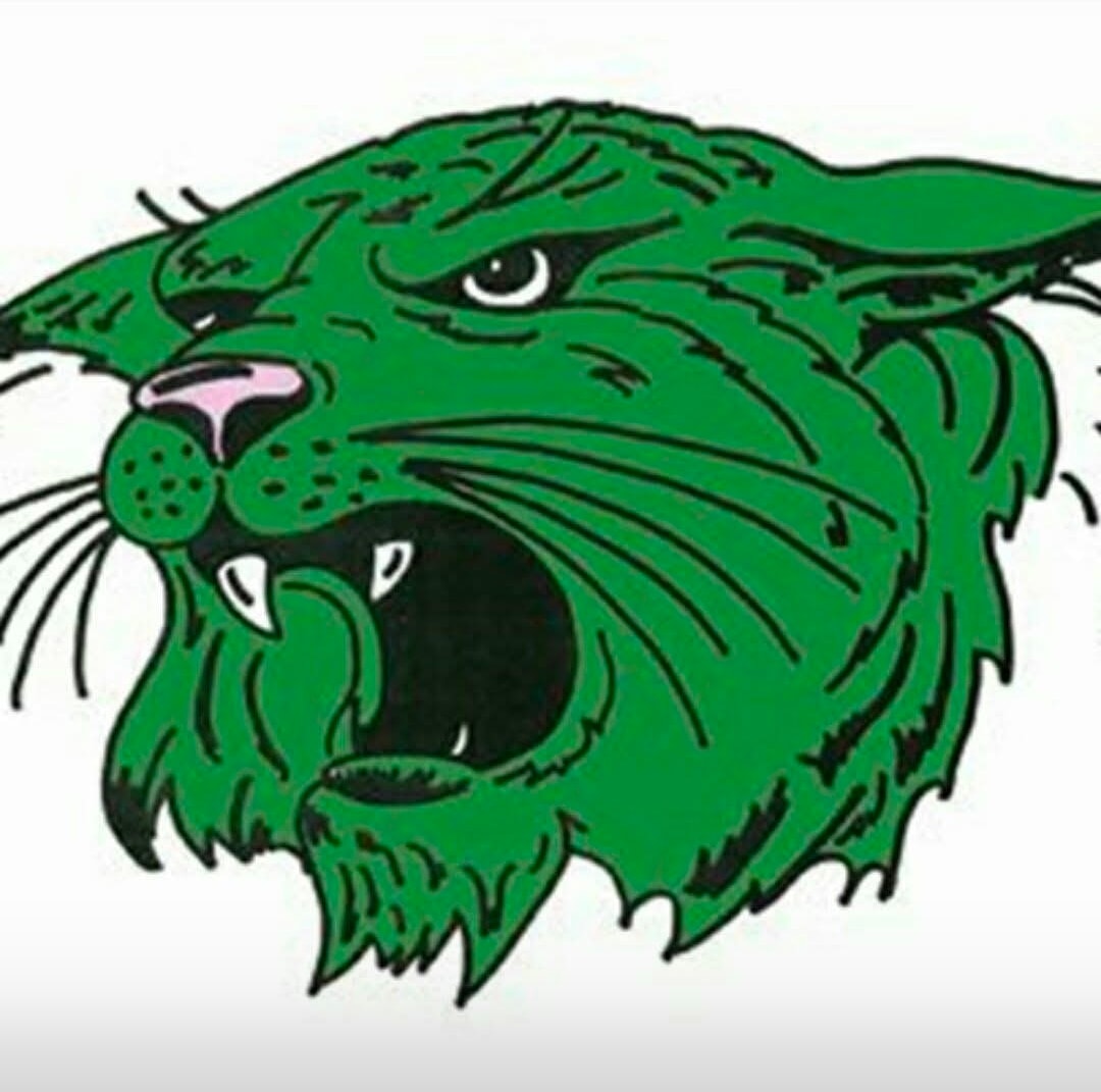 Warsaw Wildcats logo