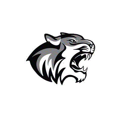 Willard Tigers logo